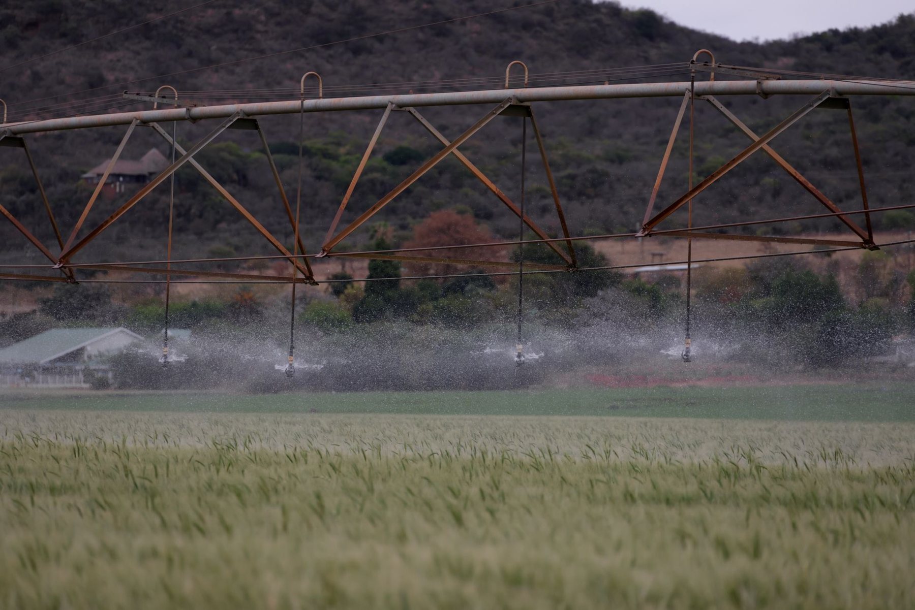 Irrigation & Drip Systems in Queen Creek AZ