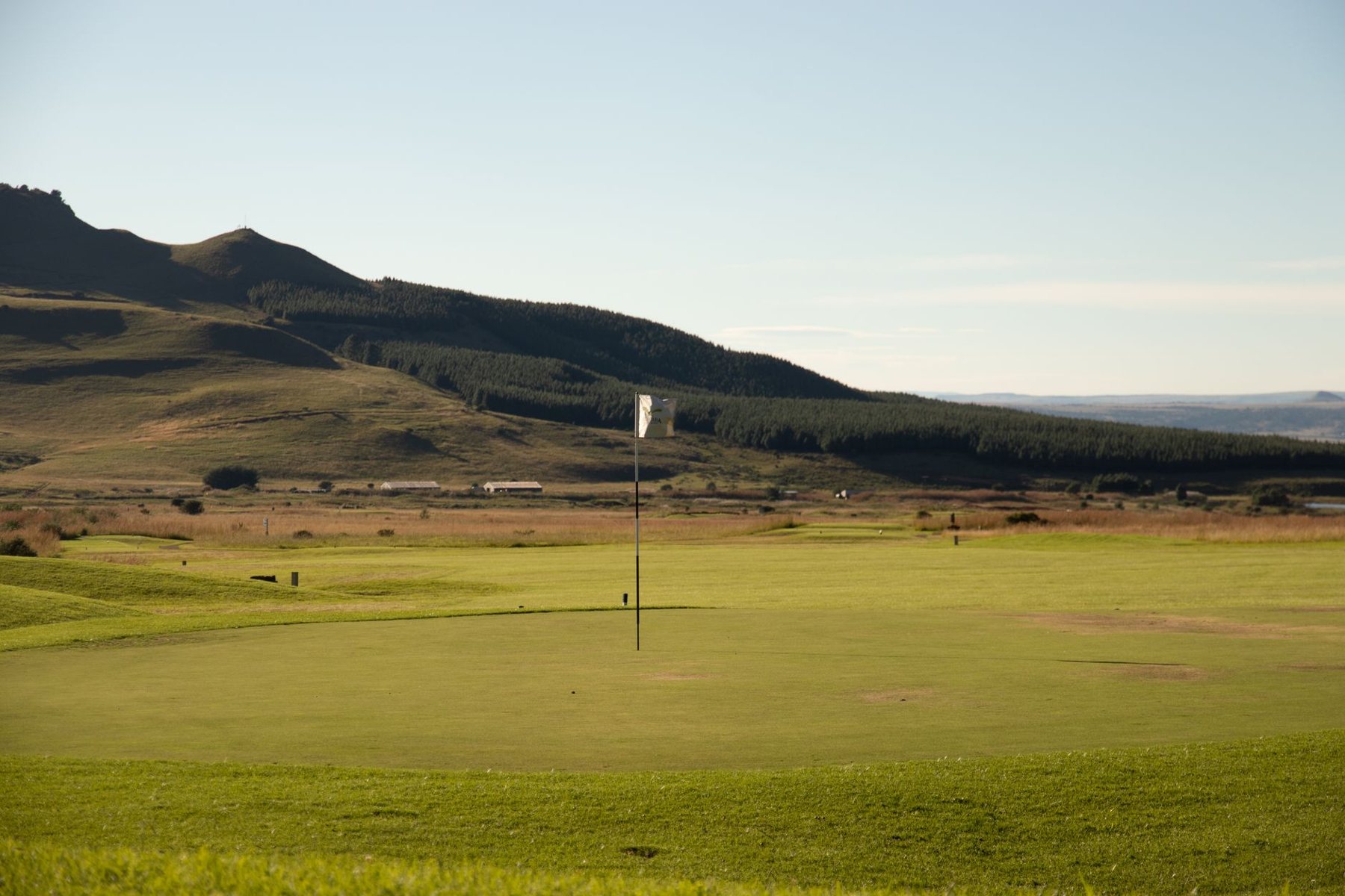 Synthetic Putting Greens in Queen Creek AZ